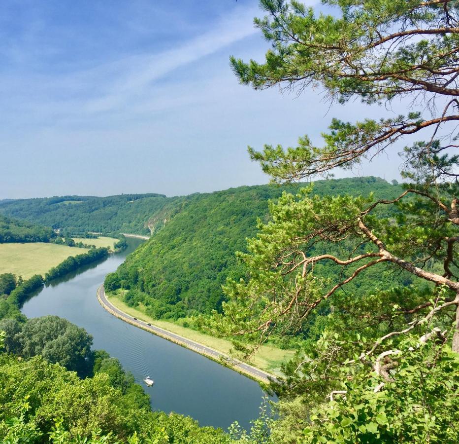 Cocooning Near Dinant 300M From River Meuse Blaimont Zewnętrze zdjęcie